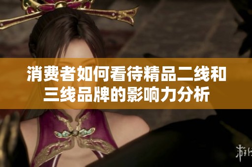 消费者如何看待精品二线和三线品牌的影响力分析