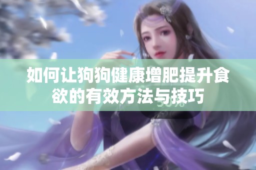如何让狗狗健康增肥提升食欲的有效方法与技巧