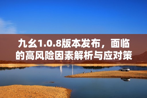 九幺1.0.8版本发布，面临的高风险因素解析与应对策略