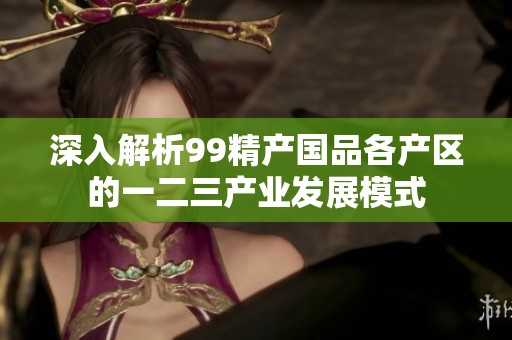 深入解析99精产国品各产区的一二三产业发展模式