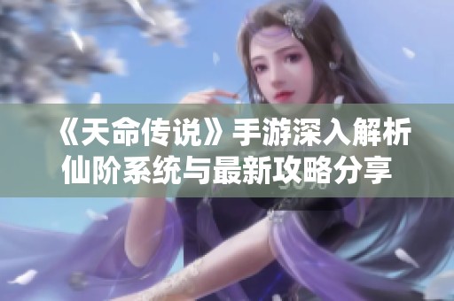 《天命传说》手游深入解析仙阶系统与最新攻略分享
