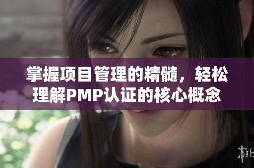 掌握项目管理的精髓，轻松理解PMP认证的核心概念
