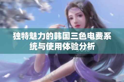 独特魅力的韩国三色电费系统与使用体验分析