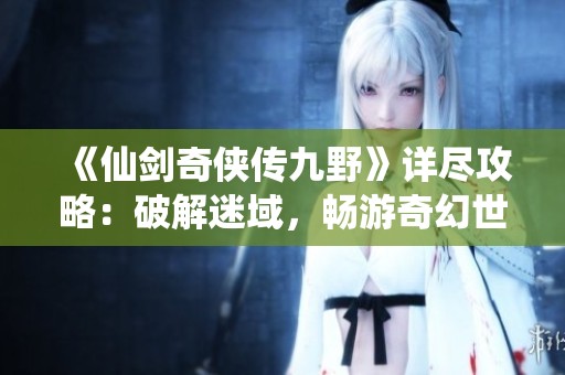 《仙剑奇侠传九野》详尽攻略：破解迷域，畅游奇幻世界的绝佳指南
