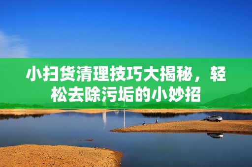 小扫货清理技巧大揭秘，轻松去除污垢的小妙招