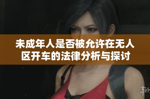 未成年人是否被允许在无人区开车的法律分析与探讨