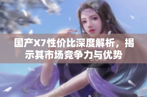 国产X7性价比深度解析，揭示其市场竞争力与优势