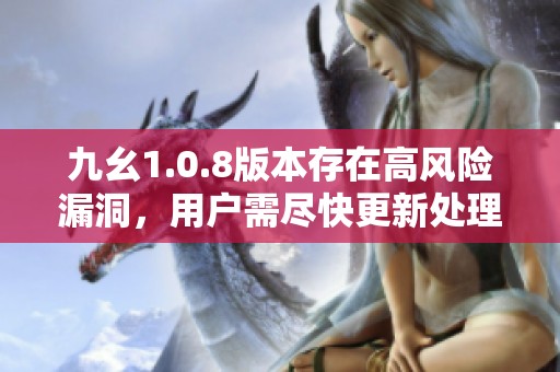 九幺1.0.8版本存在高风险漏洞，用户需尽快更新处理