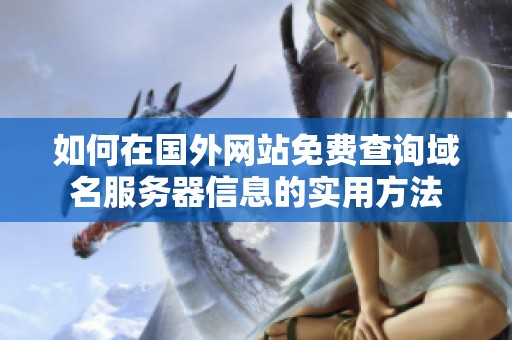 如何在国外网站免费查询域名服务器信息的实用方法