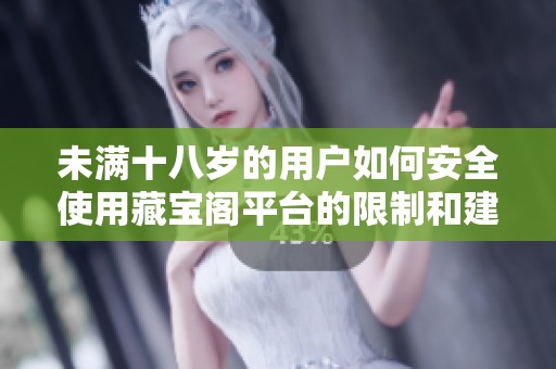 未满十八岁的用户如何安全使用藏宝阁平台的限制和建议