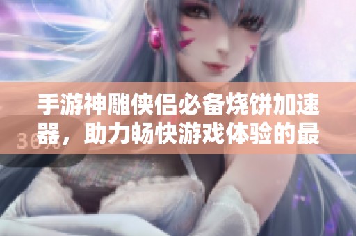 手游神雕侠侣必备烧饼加速器，助力畅快游戏体验的最佳选择