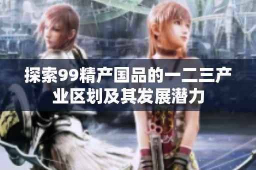 探索99精产国品的一二三产业区划及其发展潜力