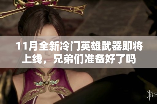 11月全新冷门英雄武器即将上线，兄弟们准备好了吗